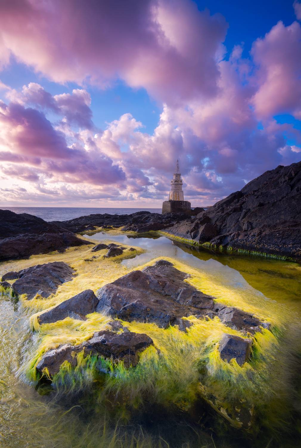 , Mariyana Atanasova - Lucero