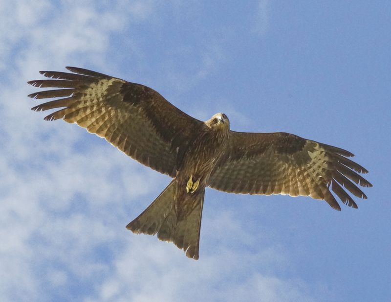 Взгляд с неба фото превью