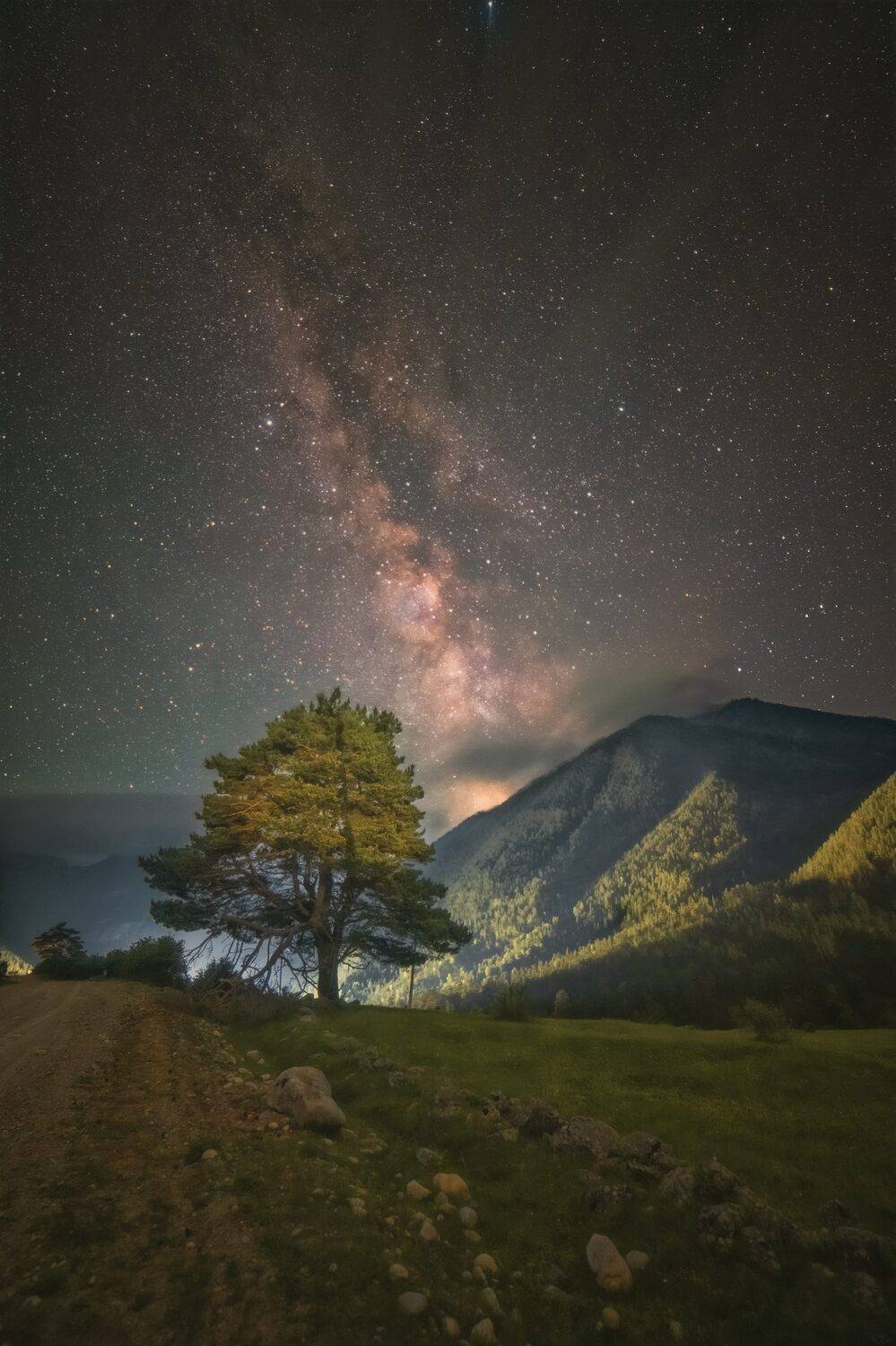 звезды, ночь, млечный, путь, кавказ, горы, сосна, дерево, Третьякова Анастасия