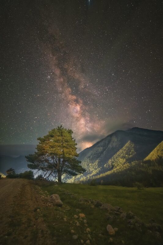звезды, ночь, млечный, путь, кавказ, горы, сосна, дерево Звезды, указывающие путь... фото превью