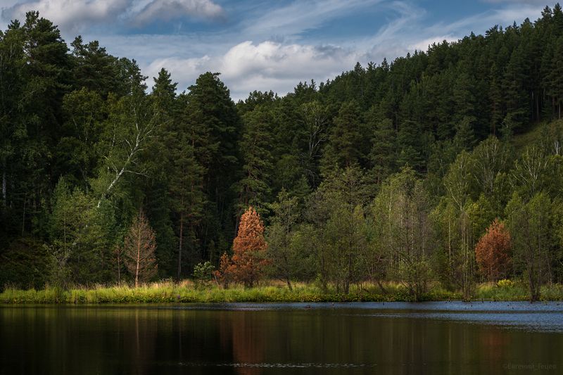 пейзаж, россия, урал, тайга, пруд, лес Таежный пруд фото превью