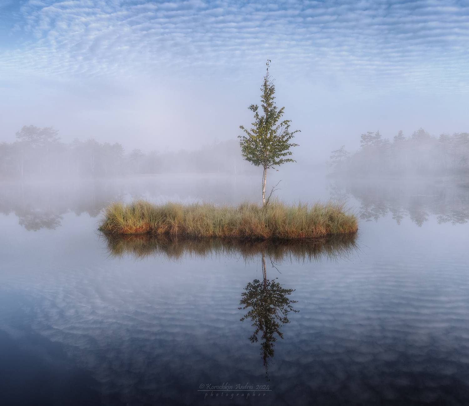 , Андрей Корочкин