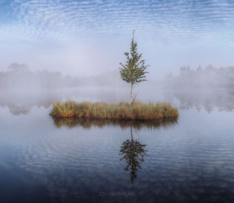 ... дело к осени ... фото превью