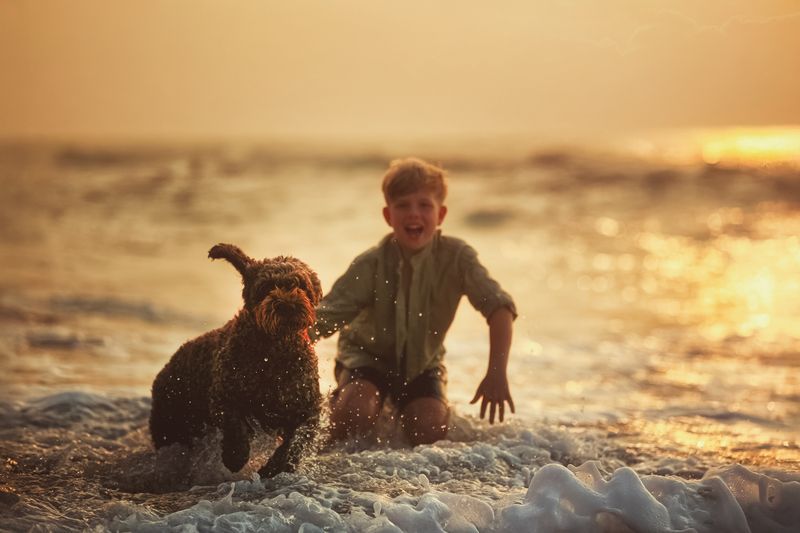 фото превью