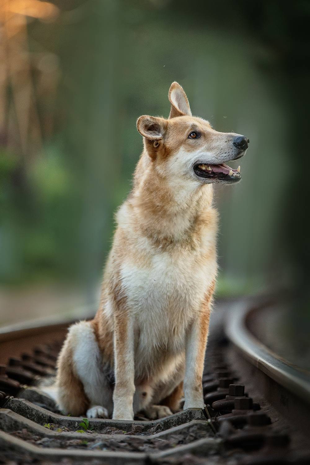 , Елена Самусенкова