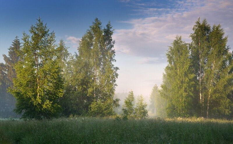 *** фото превью