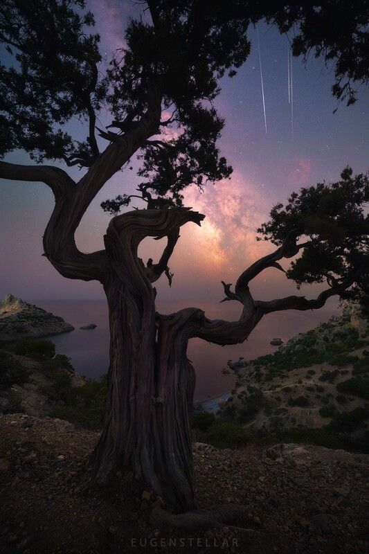 Ночь на Крымском полуострове. Новый Свет, июль. фото превью