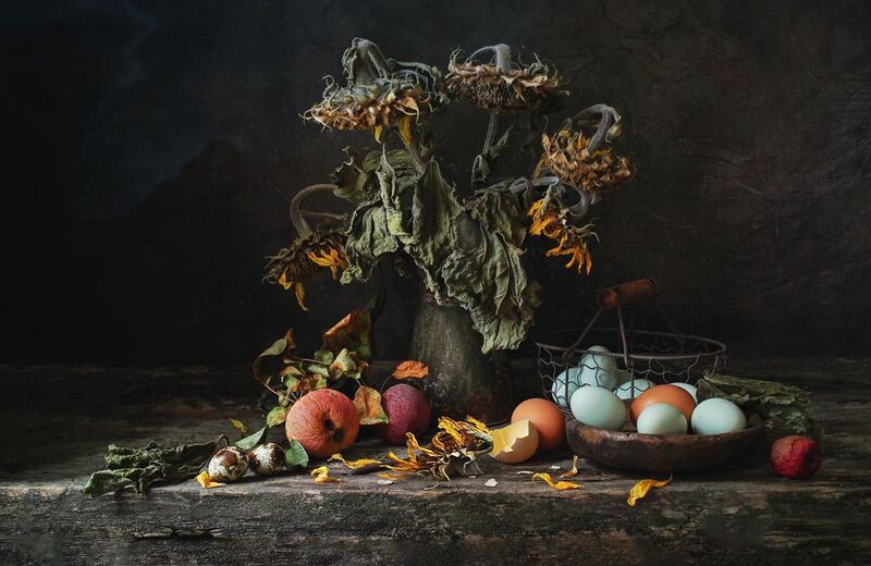 Жизненная эволюция в своем разнообразии... фото превью