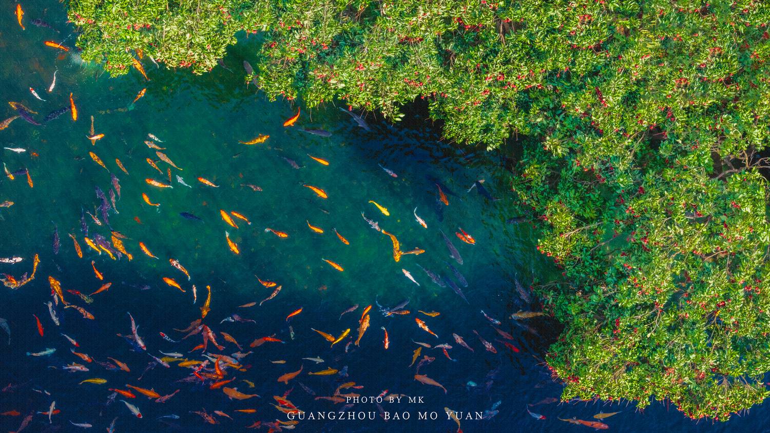 air photography, Yang TianFeng