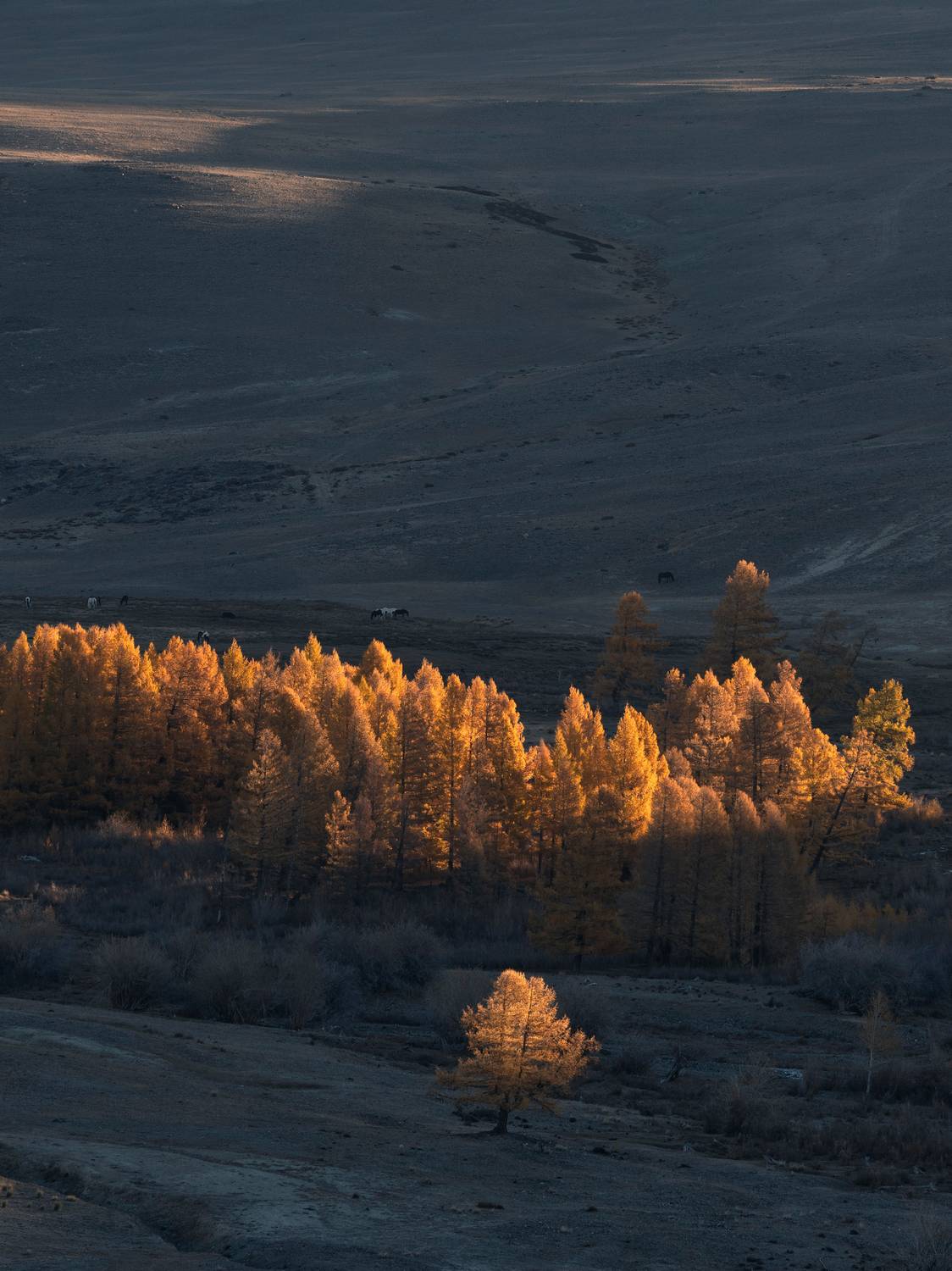 , Мозжухин Максим