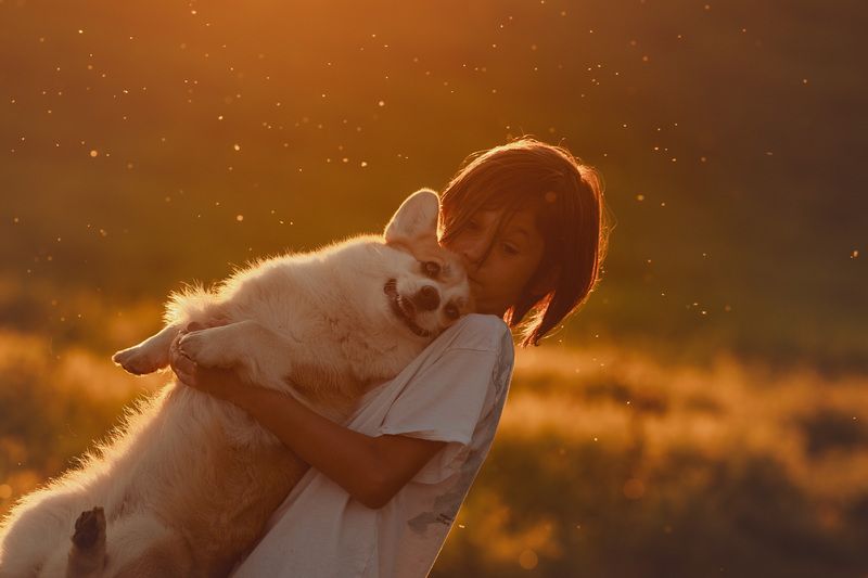 Летним вечером фото превью