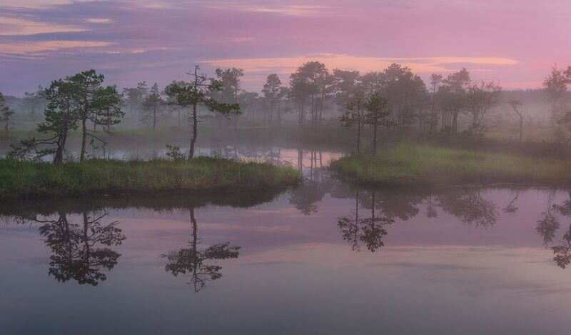 Утреннее зеркало природы фото превью