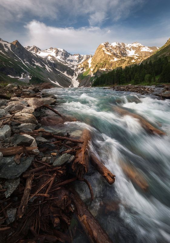 Неукротимая сила фото превью