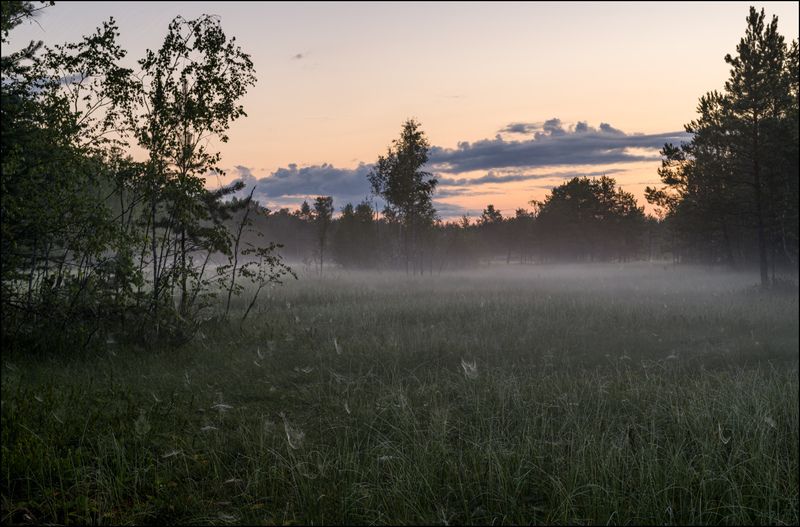 Вершина лета фото превью