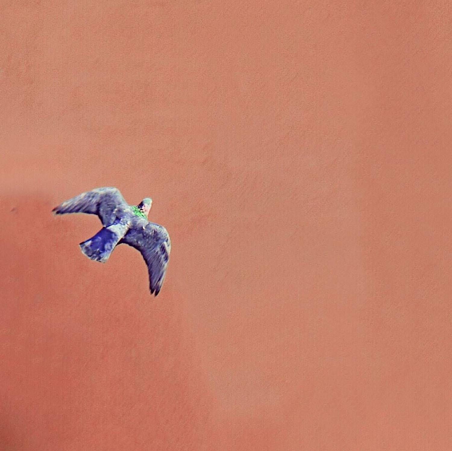 , Орлова Ксения