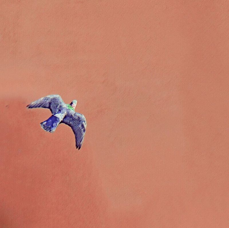 Городской минимализм фото превью