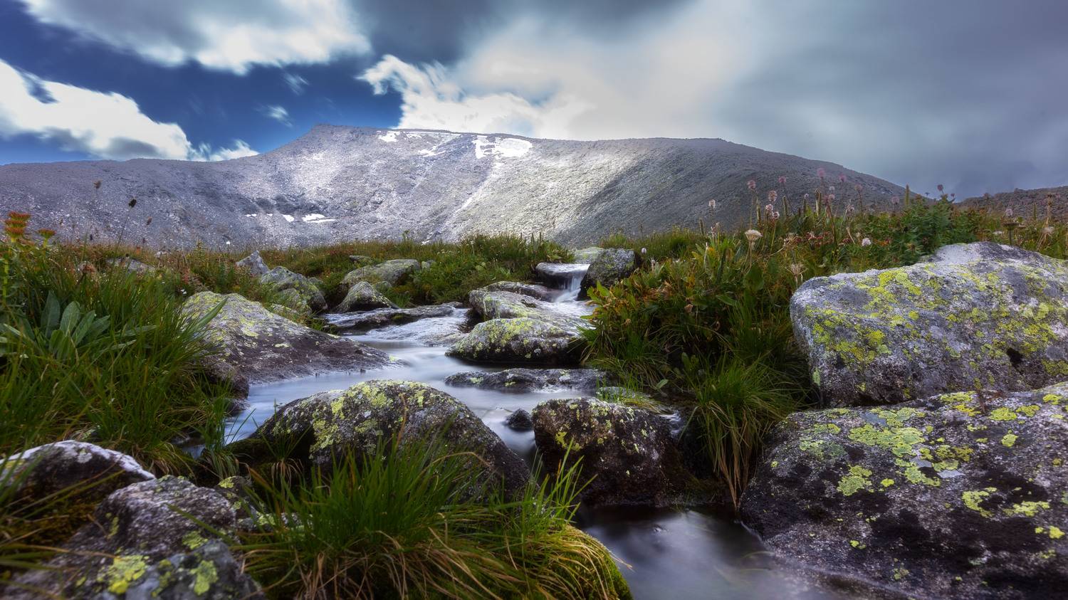 , Сильва Татьяна