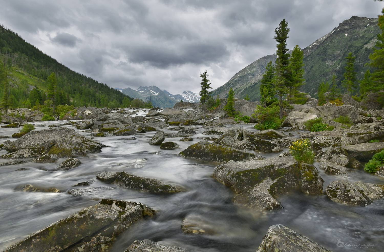 , Крат Светлана