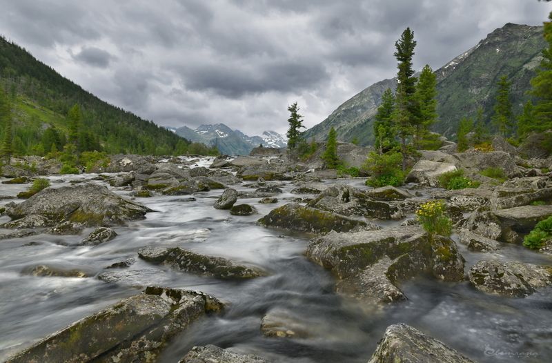 Летний Алтай фото превью