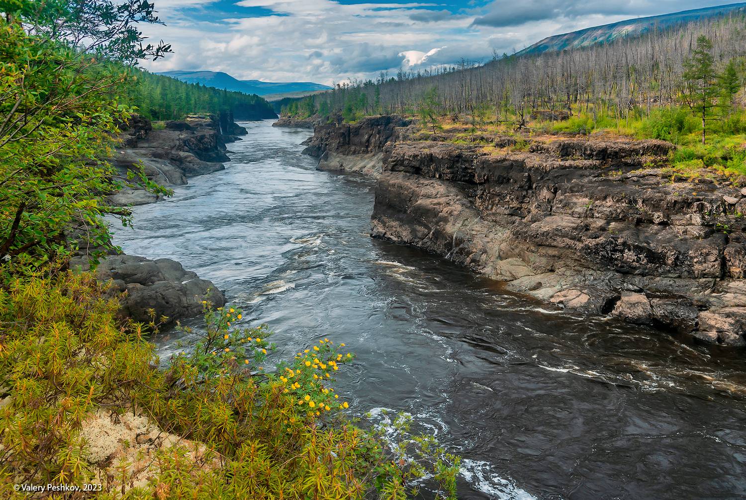 река курейка, каньон, плато путораны, скалы, пороги, лиственницы, владимир коваль, Пешков Валерий