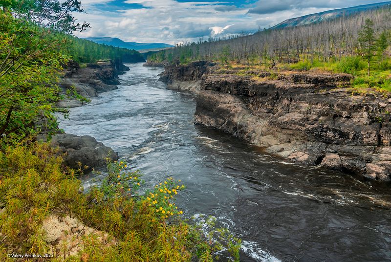 река курейка, каньон, плато путораны, скалы, пороги, лиственницы, владимир коваль Каньон Курейки фото превью