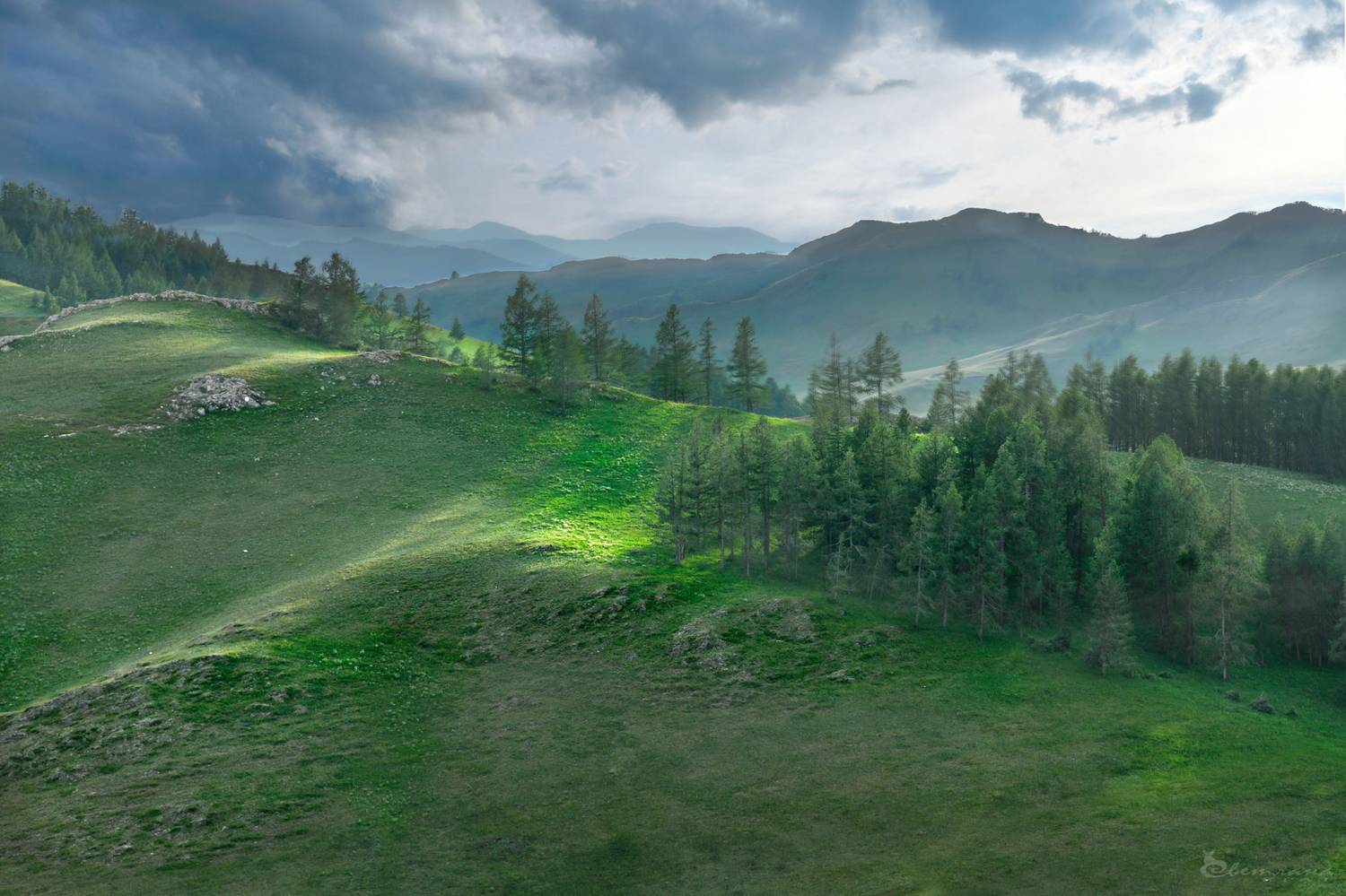 , Крат Светлана