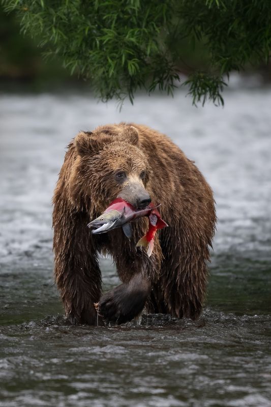 Удачливый рыбак фото превью