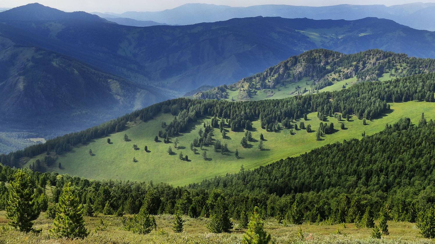 горный алтай, катунский хребет, поселок маральник-1, Сильва Татьяна