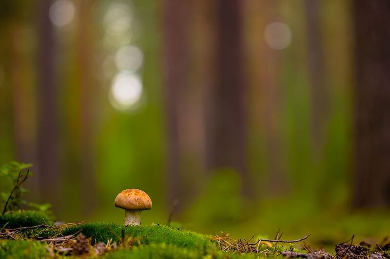 .... фото превью