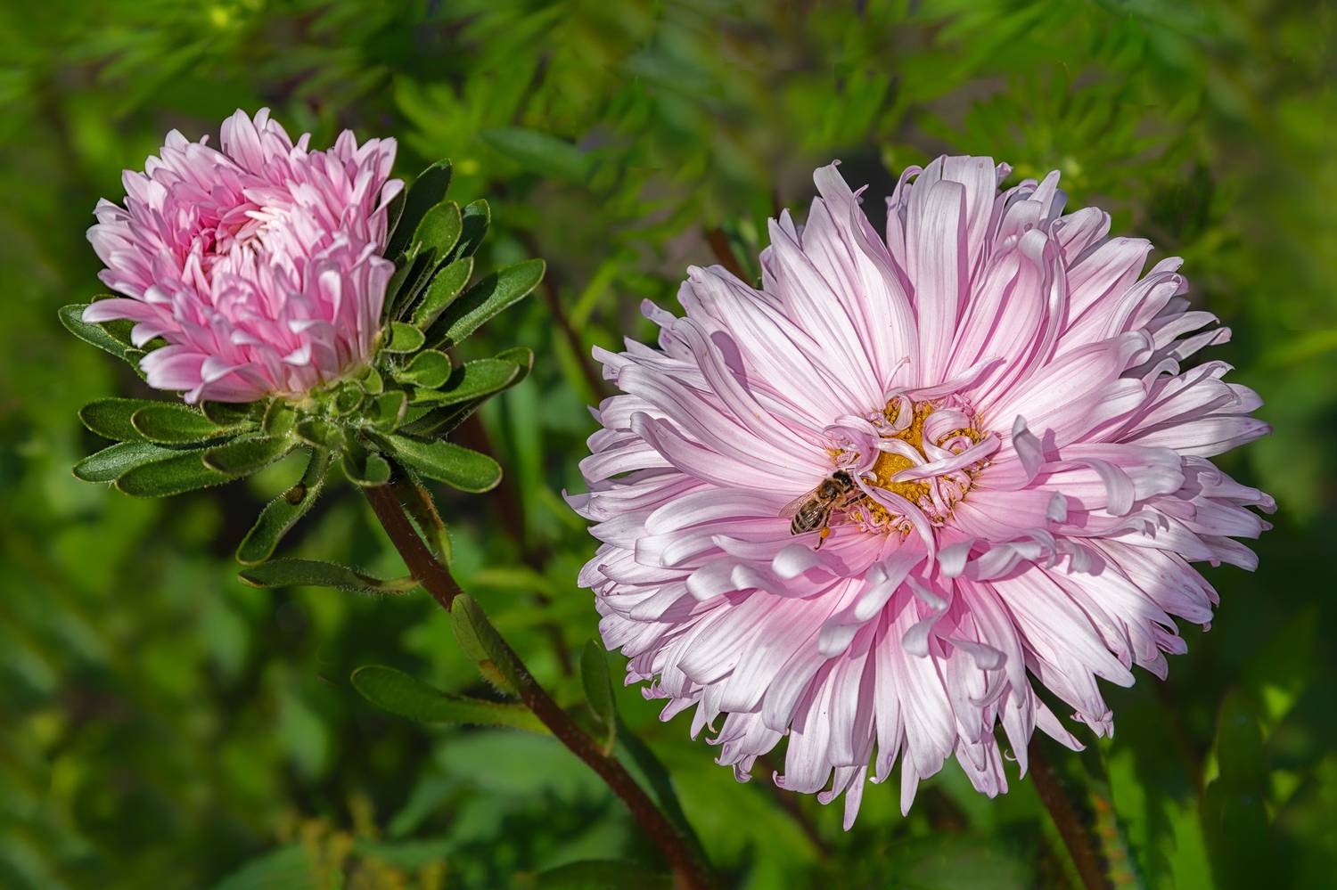 , Ушаков Валерий