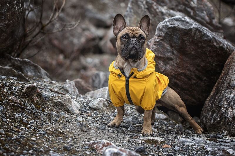 Нильс фото превью