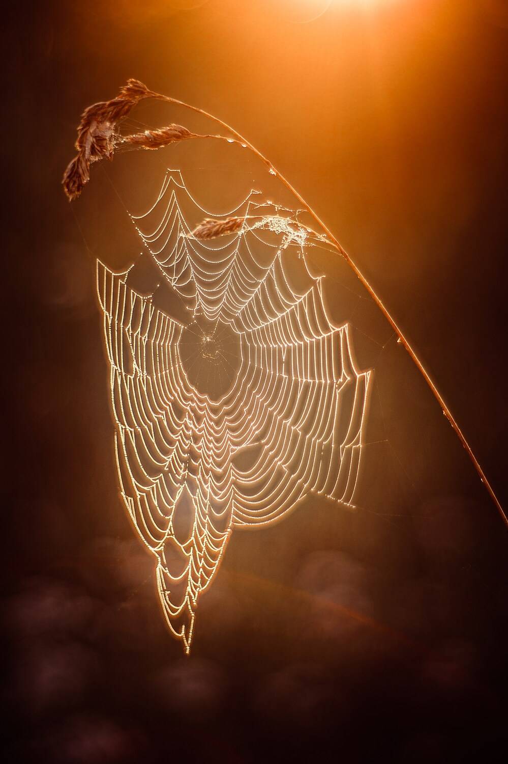 , Сергей Белокуров