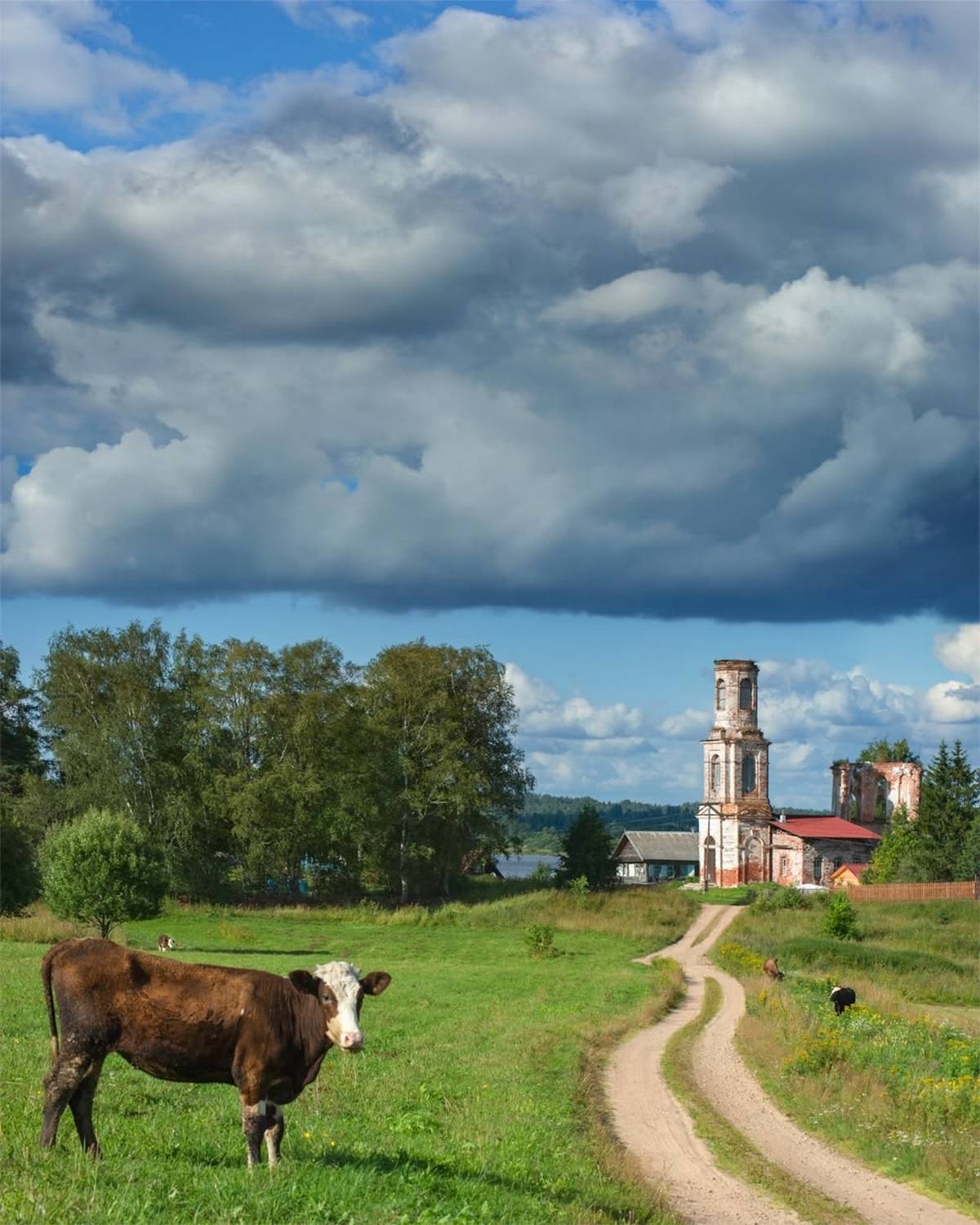 , Петр Косых