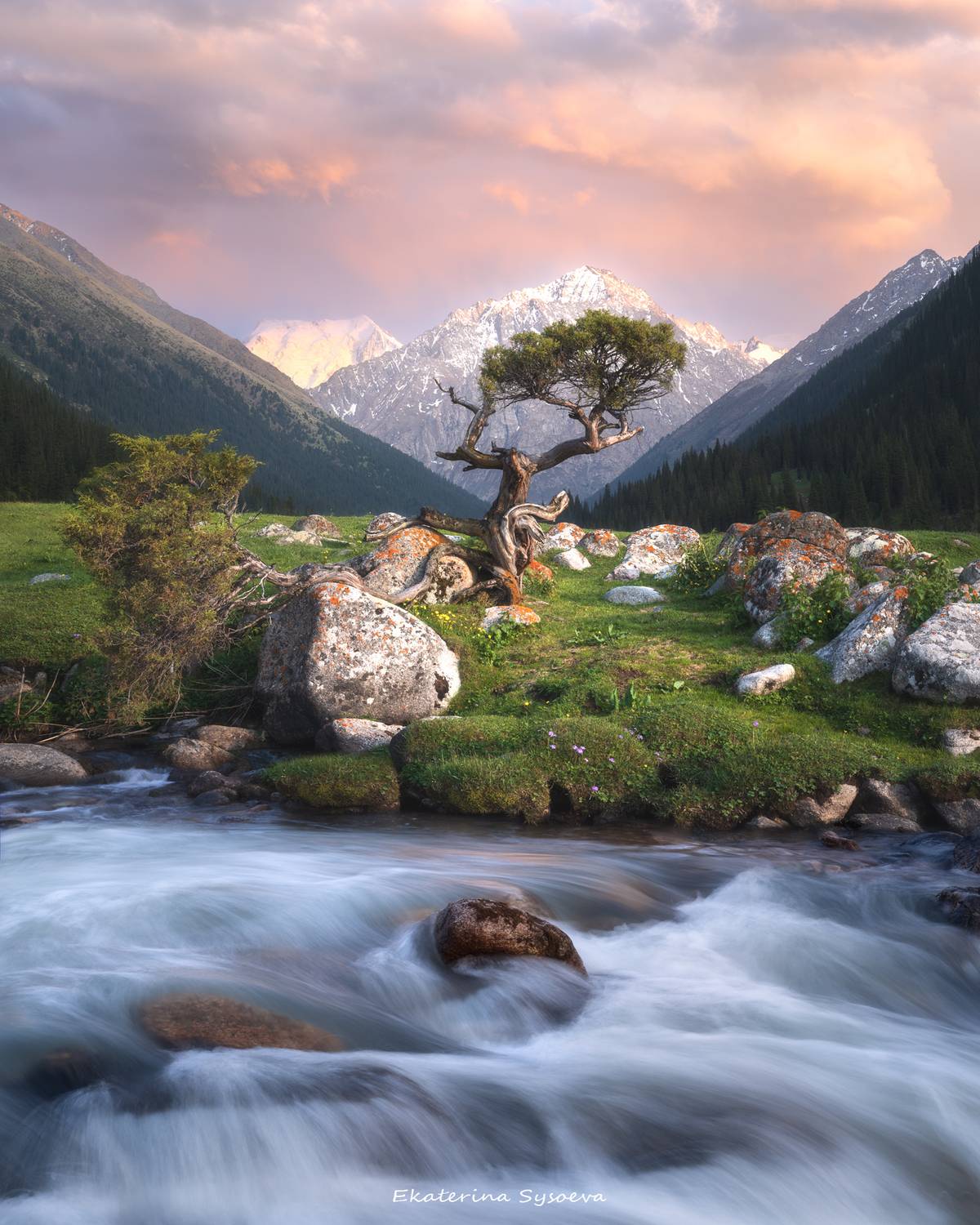 , Екатерина Сысоева