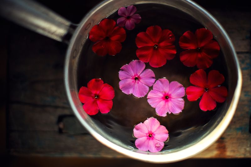 Воспоминания разблокированы фото превью