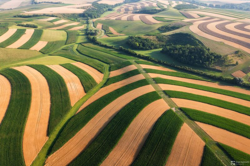 Art of Fields фото превью