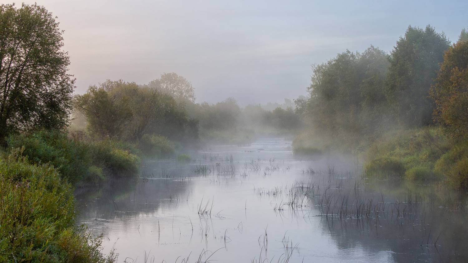 , Комарова Вера