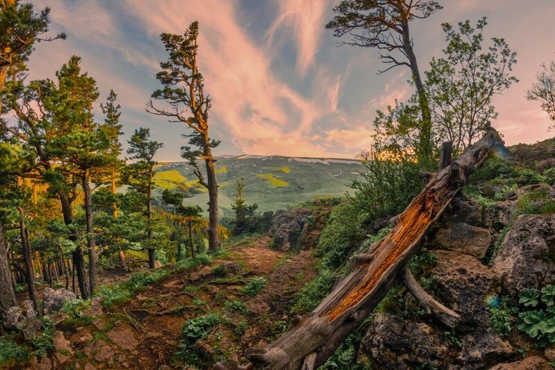 *** фото превью