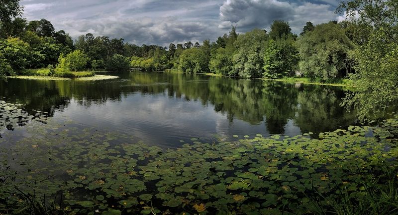 В Серебряном бору фото превью