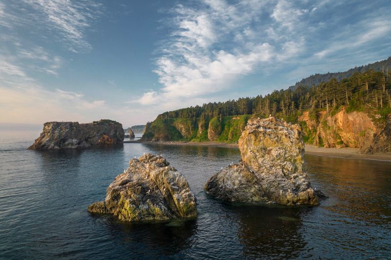 На мысе Птичьем фото превью