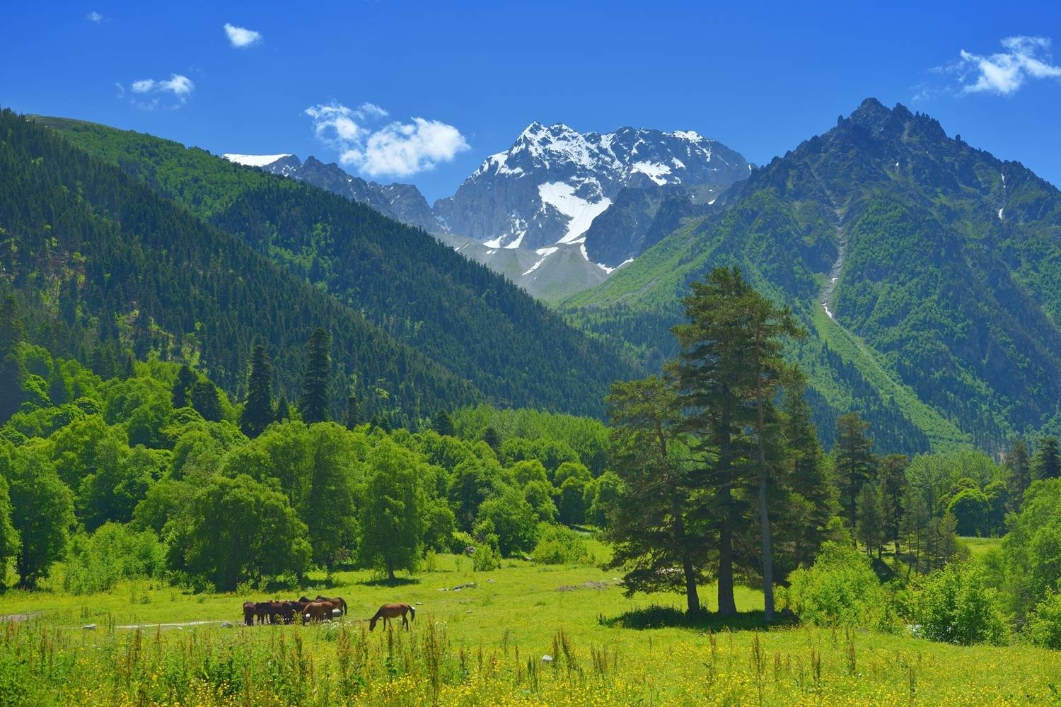 горы лето кавказ аксаут, Александр Жарников