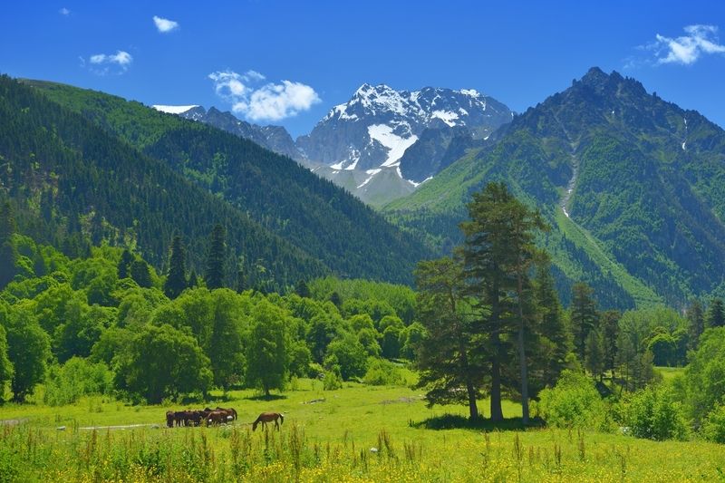 Лето в горах Кавказа,Аксаут фото превью