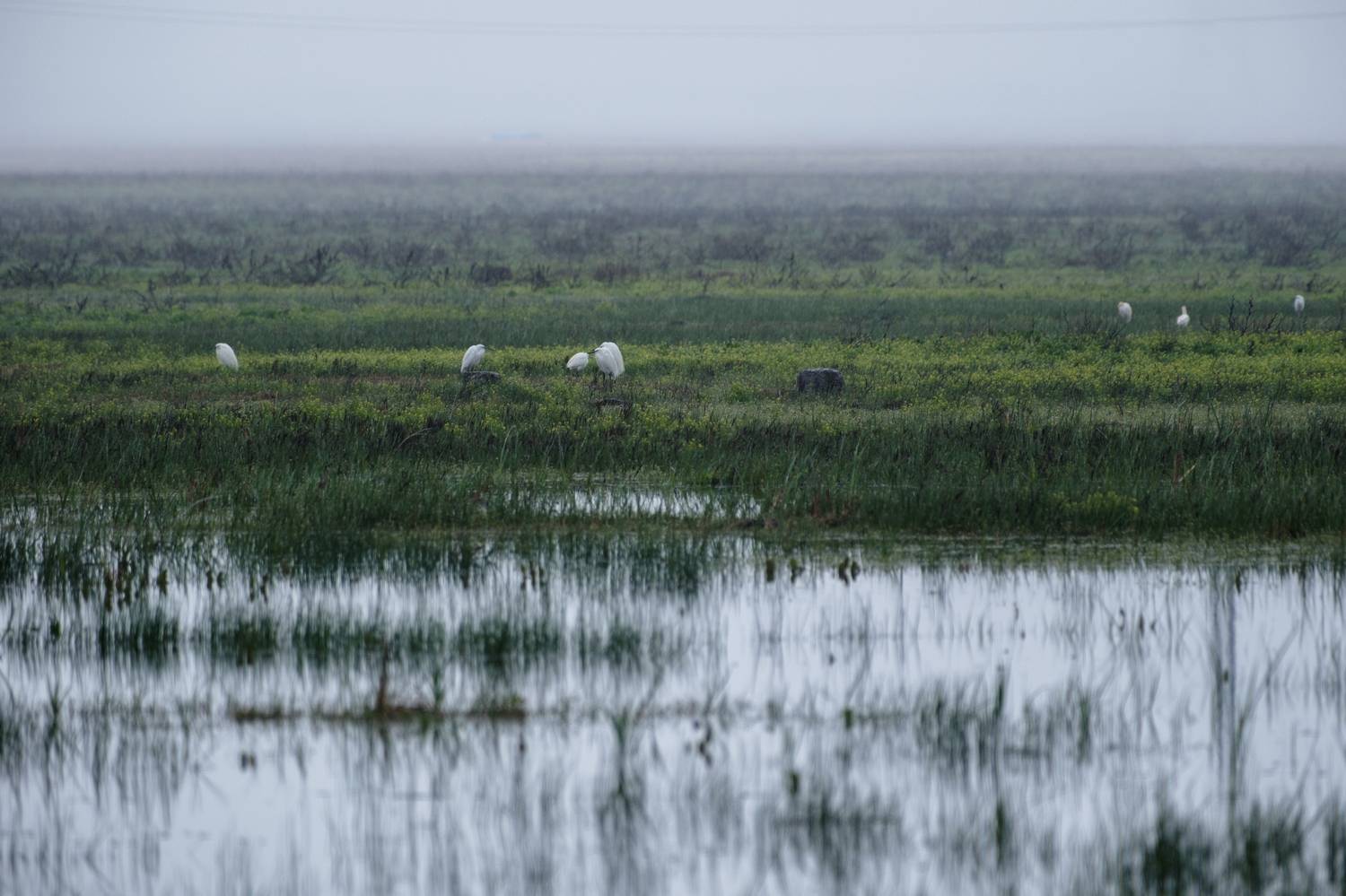 , Георгий Бычковский