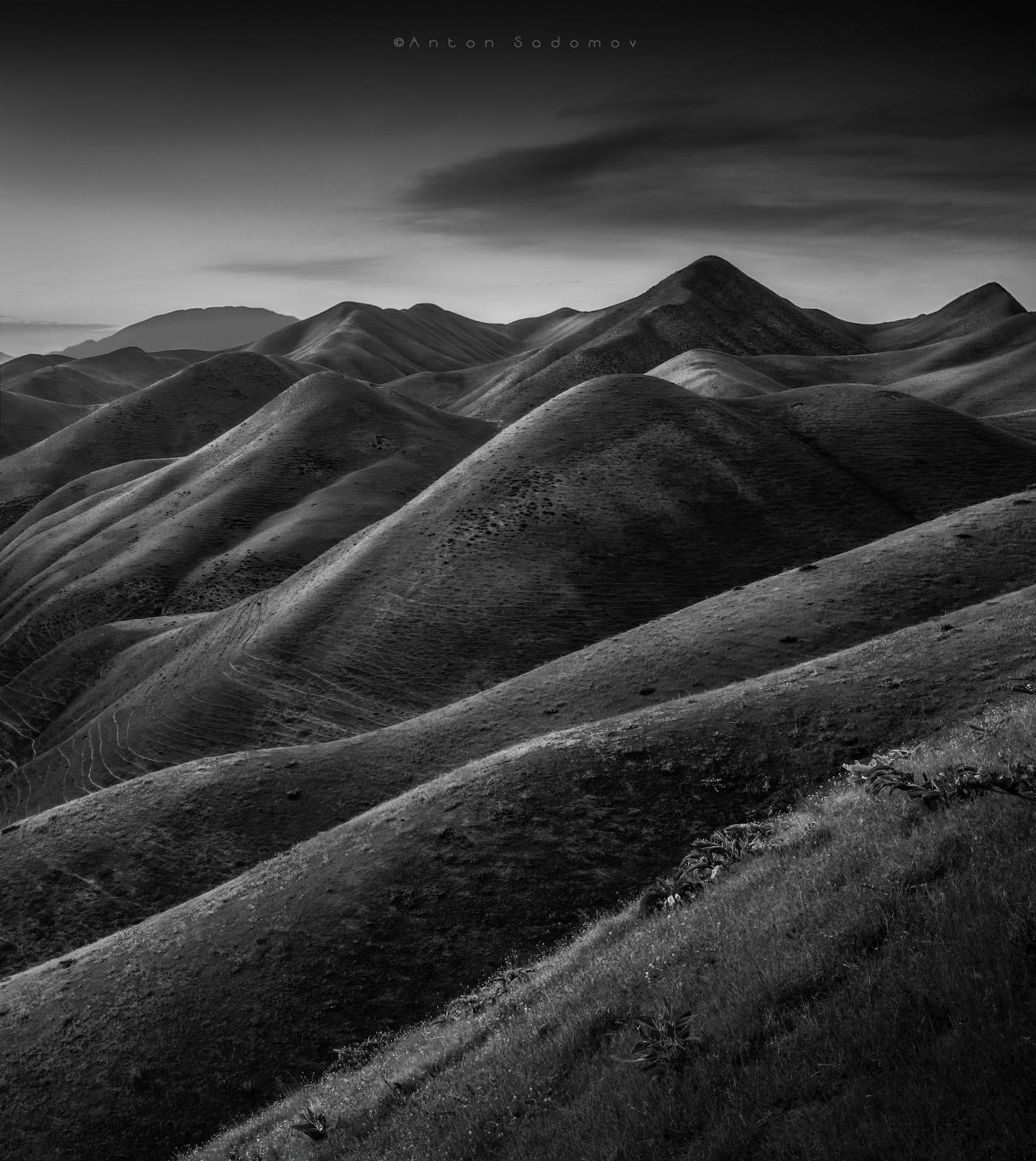 , Антон Садомов