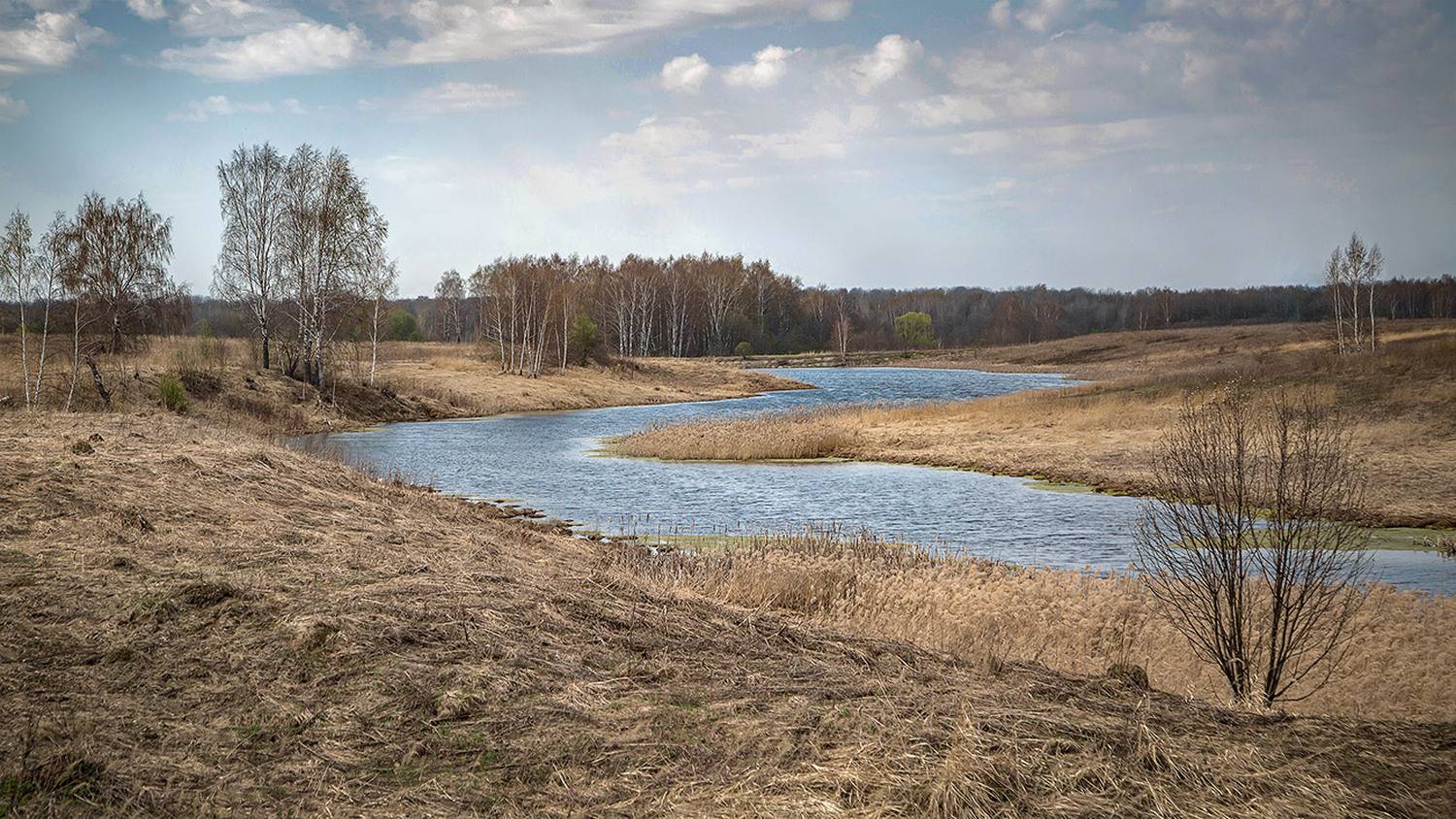 , Евгений Кутузов