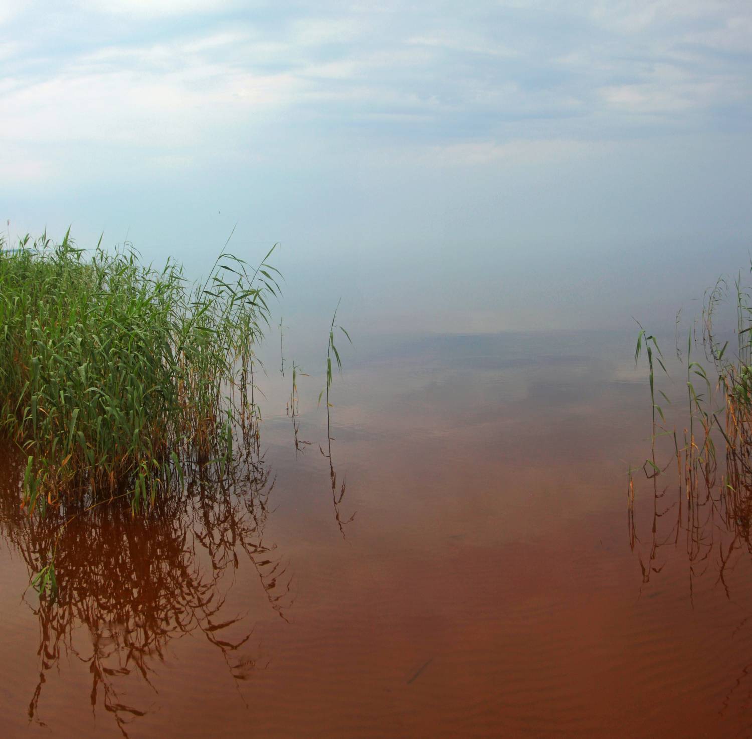 , Сергей Григорьев
