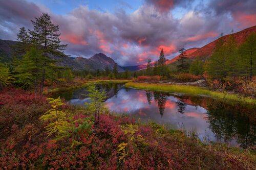 Колымский огонь....