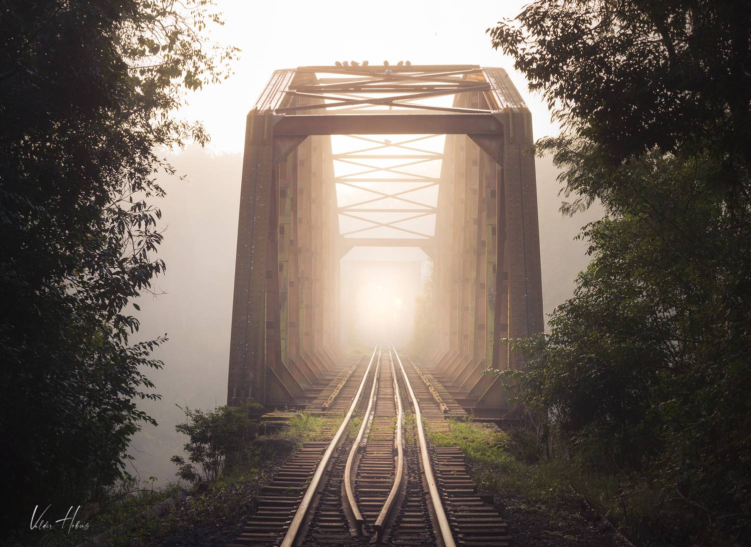 bridge, fog, train, , Valdir Hobus