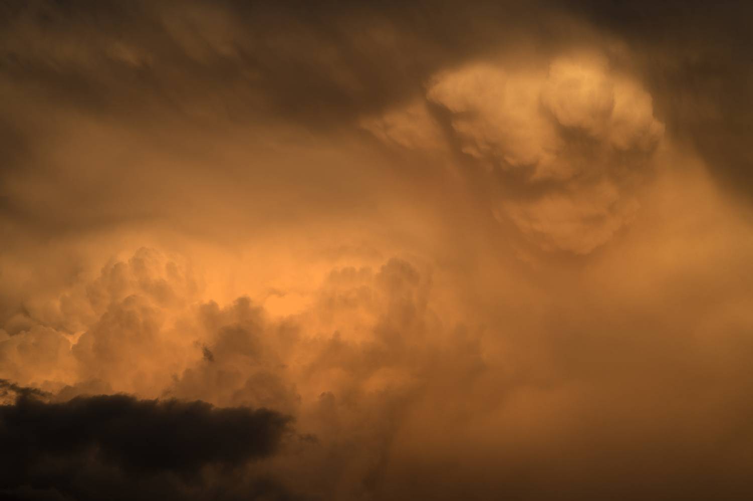 горный алтай, Андреева Светлана