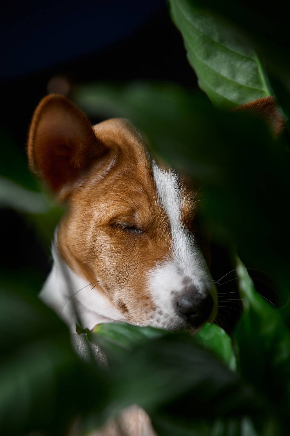 , Вострецов Иван